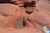 delta pool